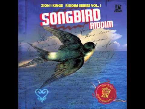 Songbird Riddim DREAM RUNNAZ Mega Mix
