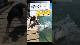 Download lagu Kejadiannya bener2 diluar dugaan 😲😲😲 #memancing #memancing #ikan #ikanpredator #ikanbesar #fypシ゚v... mp3