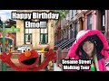 Live NYC Happy Birthday Elmo Sesame Street Inspired NYC Walking Tour Cold Nyc Live