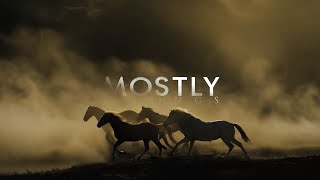 Download lagu Lisa O'Neill - All The Tired Horses mp3 Download lagu Lisa O'Neill - All The Tired Horses mp3