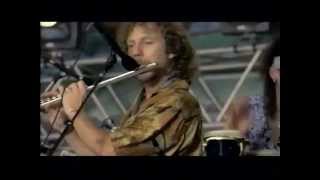 Video thumbnail of "Traffic - Glad / Freedom Rider - 8/14/1994 - Woodstock 94 (Official)"