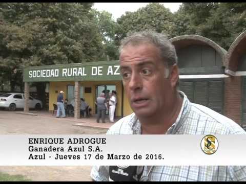 17-03-16 Nota Enrique Adrogue - Nestor I. Goenaga y Ganadera Azul - Azul.