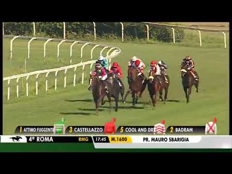 2020.07.12 Premio Mauro Sbarigia (ITA) - Coccoloba