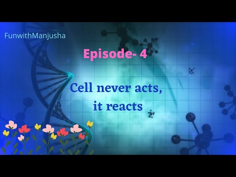 Episode- 4 Parts of animal and plant cells_Cell never acts, it reacts | FunwithManjusha