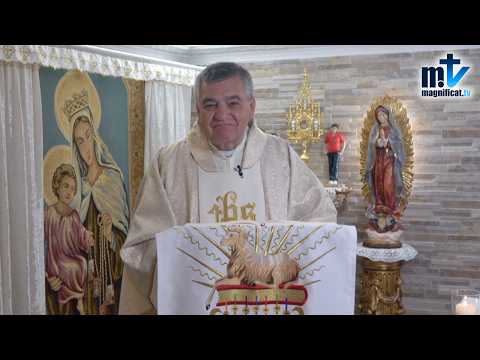 "Confía en Dios y que Nada te Turbe" | Homilía, Santa Teresa de Jesús, Virgen y Doctora de la Iglesia, Fiesta (15-10-2026) | P. Santiago Martín, FM