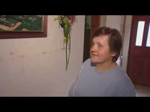 Strengberg - Das Leben nach der Flut