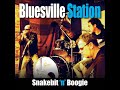 Snake Bittin' Boogie · Bluesville Station