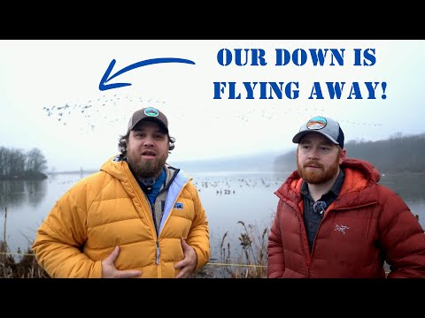 Arc’teryx Cerium SV vs. Patagonia Cotton Down