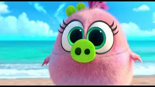 Angry Birds 2 Movie Baby Birds and Pigi Scene Hind