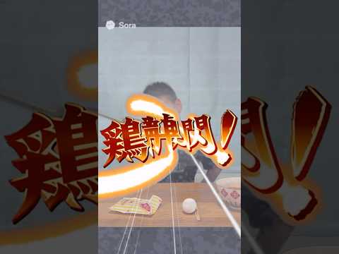 鶏龍閃！⚔️🍗