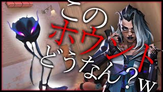 初めてのフェイドでホウント無双w【VALORANT】