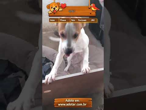 Vídeo de MAKI