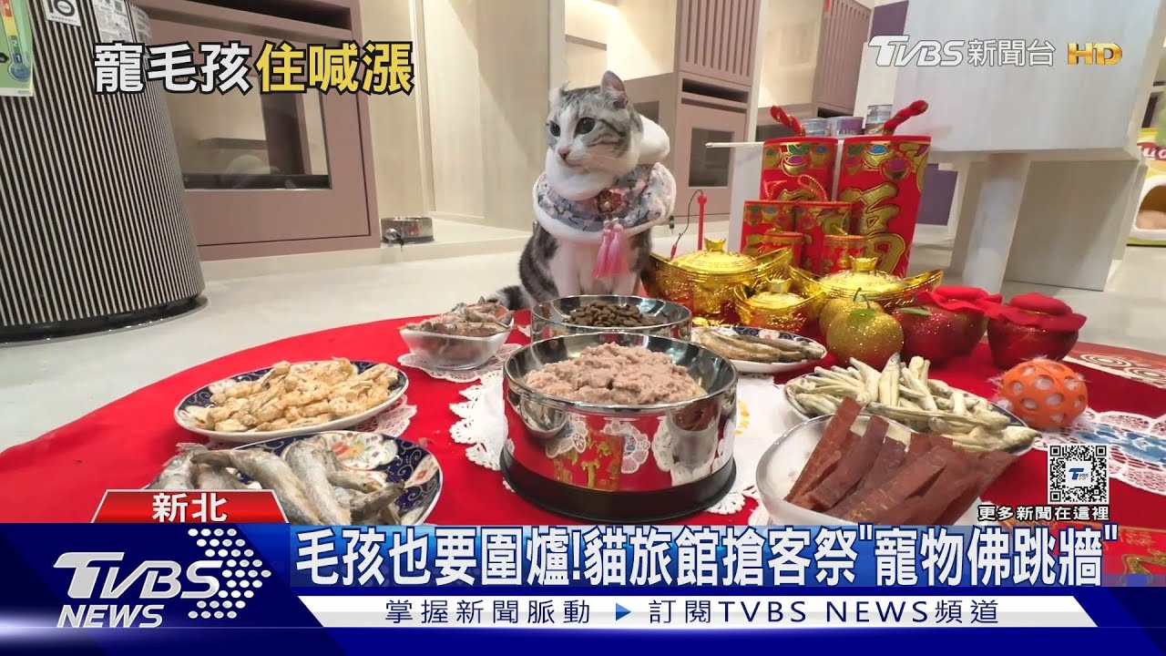 太慢住嘸!寵物旅館春節8成滿、最貴漲逾27%