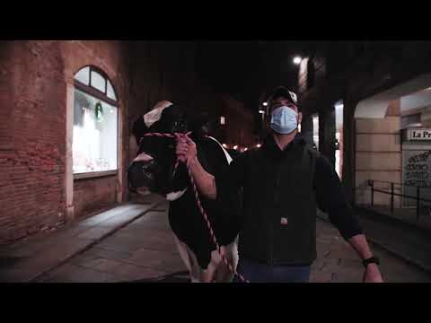 Cremona International Livestock Exhibitions - Special Edition 2020