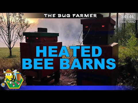 , title : 'First Night With Beehive Heaters | Bee Barn Heaters Activated #beekeeping #insects #innovation'