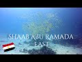 Diving Famous Shaab Abu Ramada East Reef - Hurghada - Egypt, Abu Ramada, Hurghada, Ägypten