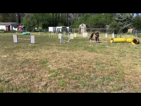 Ziry TEAM Snooker 50X70 4/02/21 Module 1