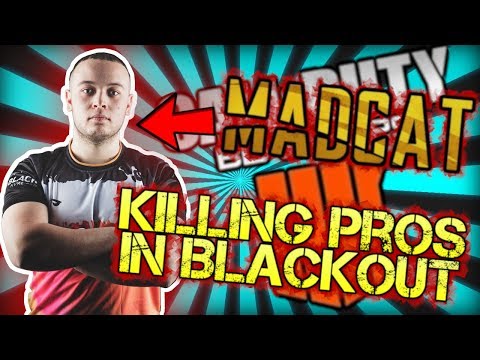 MADCAT FROM LIGHTNING PANDAS GETS OWNED!!!