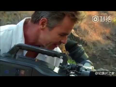 Man and Cheetah-An incredible reunion.