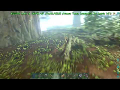 Primitive plus taming