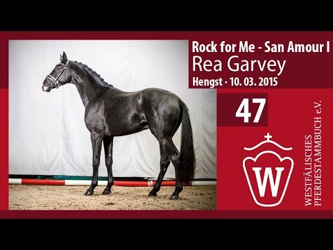 47 Rea Garvey Hengst v. Rock for Me  -  San Amour I   Longe