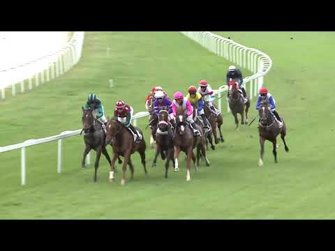 2020.07.26. 05. futam - JAROSS SÁNDOR EMLÉKVERSENY HENDIKEP (Elit o.)