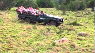 preview picture of video 'Kariega Game Reserve - Wildlife & Activites'