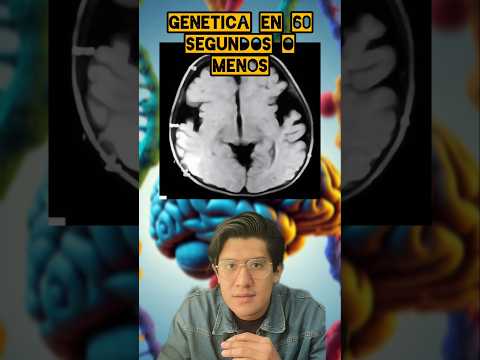 Pedro Luis  Hernández Lima -20