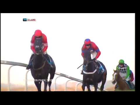 2012 Tingle Creek Chase