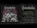 Downwinder S T LP FULL ALBUM 2021 Stenchcore Crust Punk Death Metal