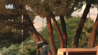 TJ Ellis Profile (BFD) video