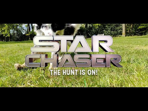 Dog Comets Star Chaser