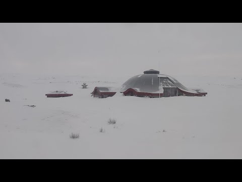 Journal de bord n°4 !