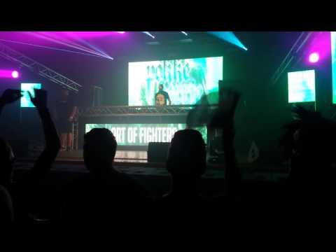 Pokke Herrie Art of Fighters 03.09.2016