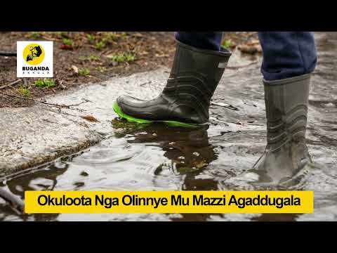 Okuloota Nga Olinnye Mu Mazzi - Ebirooto Namakulu Gaabyo - Buganda Ekkula