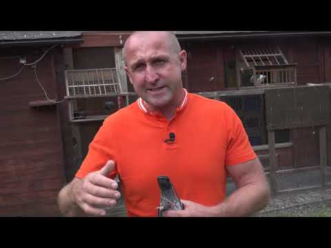 Piotr Bugała 2020 - NOWOŚĆ