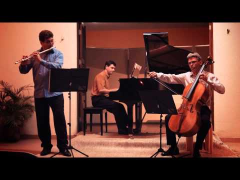 Tango en Negro y Gris para flauta, cello y piano Gabriel SenaneS