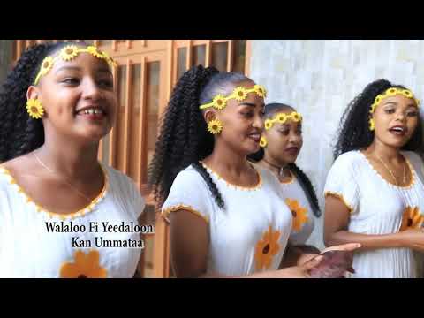 'SHINOOYYEE' Firaa, Heeraan, Nadhii &Uumeeraa New Video Clip