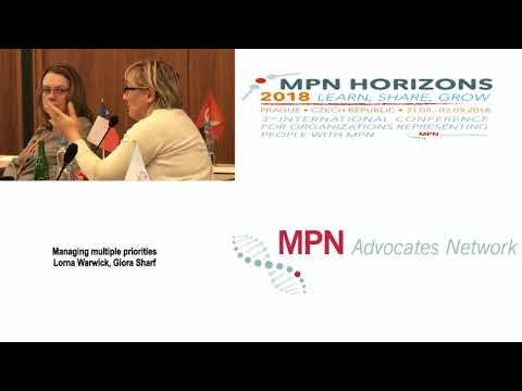 11 Managing Multiple Priorities Lorna Warwick & Giora Sharf