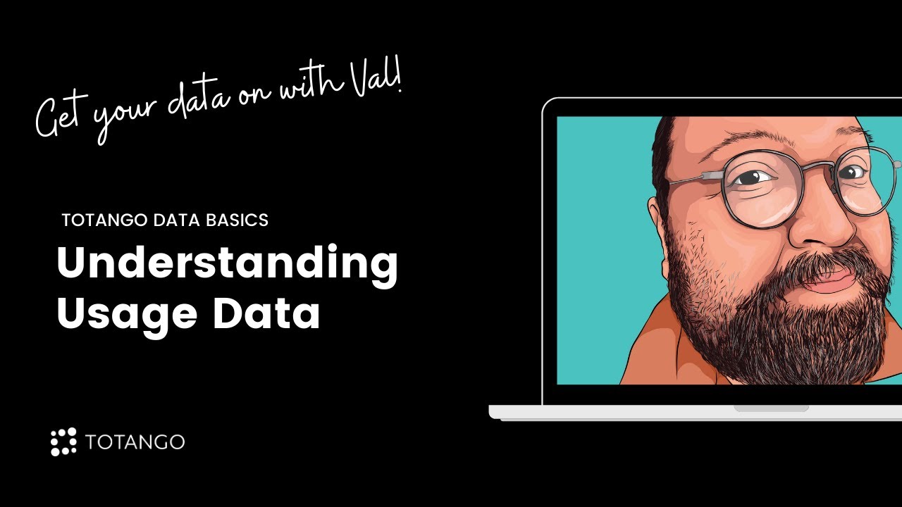 Totango Data Basics: Understanding Usage Data