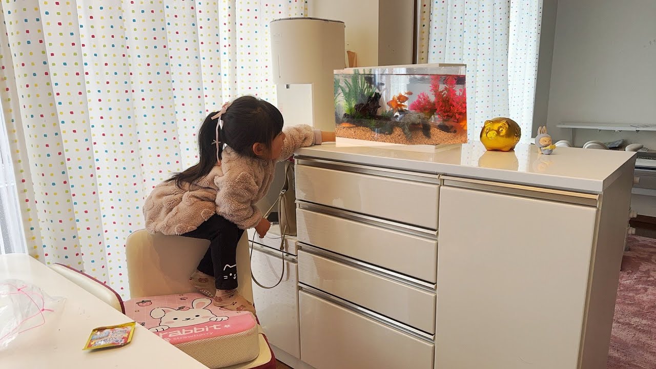 海外生活vlog/遠嫁日本我喜歡折騰、最近把客廳格局改一下讓孩子們養金魚