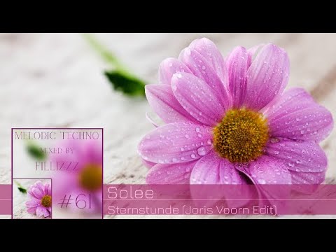 Melodic Techno #61 (, Solee, Teho, Dizharmonia, Jack Back, Citizen Kain, MPathy,  Joris Voorn)