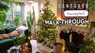 A Realistic Walk-Through of My Houseplant Collection (struggle zone!) 🌱