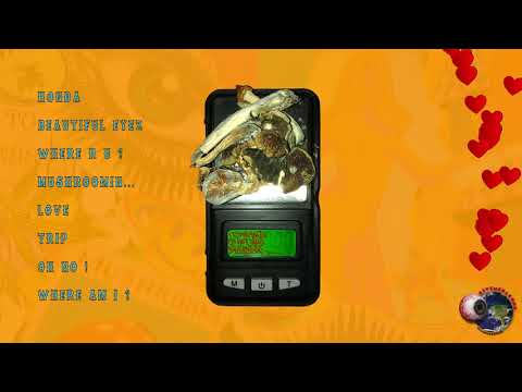 LOUID6 - Mushroom (Official Audio)