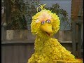 Sesame Street Big Bird Sings I Wonder How It Feels