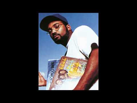 Large Professor Remixes (2016)