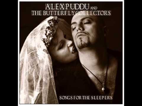 Under The Milkyway-    Alex Puddu And The Butterfly Collectors .wmv