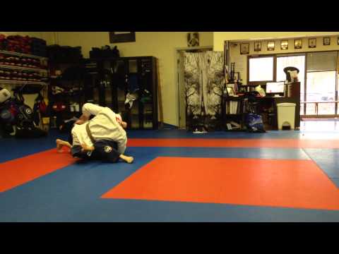 James Petryk - BJJ Black Belt Demo