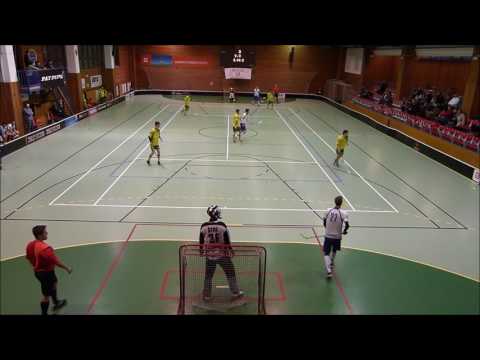 16. kolo NL 14.1.2017, 2. třetina Snipers Třebíč – Paskov Saurians 11:1 (4:0, 4:1, 3:0)