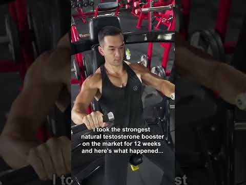 My Testosterone Results